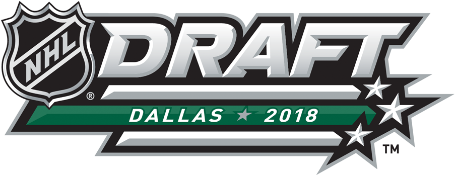 NHL Draft 2018 Alternate Logo t shirts iron on transfers
